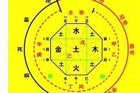 八字喜水木|【喜水木】八字命格喜水木：適合的城市、個性與禁忌。